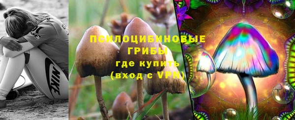 бошки Валуйки