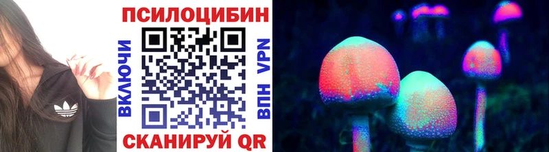 купить   Кушва  Галлюциногенные грибы ЛСД 