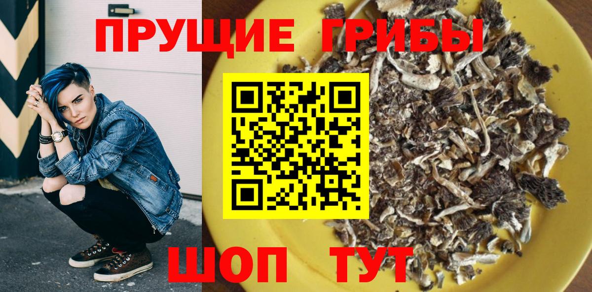 Галлюциногенные грибы Psilocybe  Псилоцибиновые грибы мицелий  Кушва  Вход с VPN 