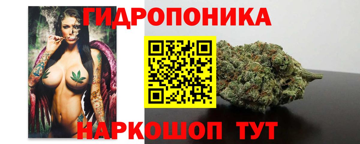 Шишки марихуана Bruce Banner  Вход с VPN  Марихуана план  Кушва  Бошки Шишки конопля 